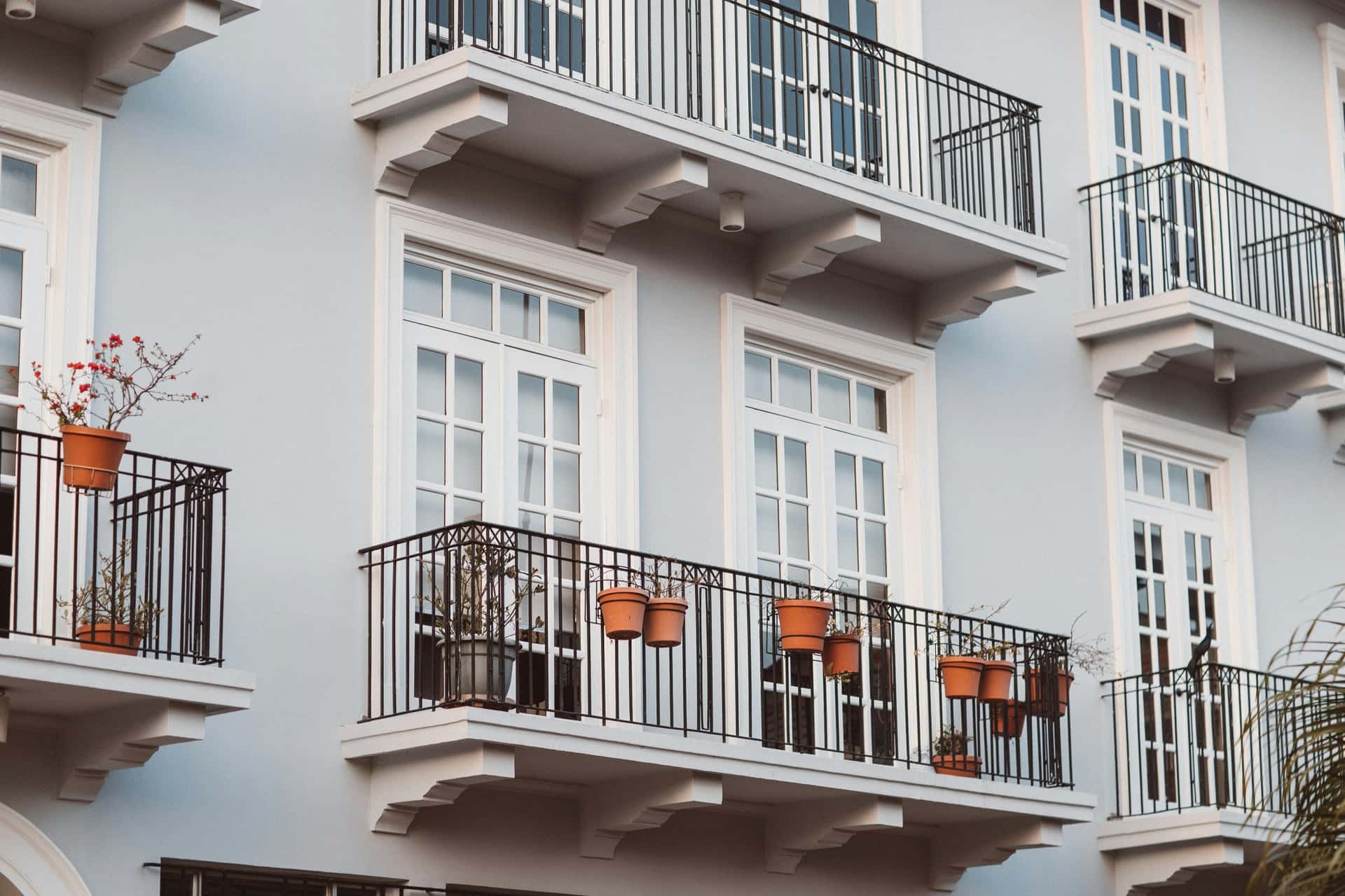 Eden House Apartment